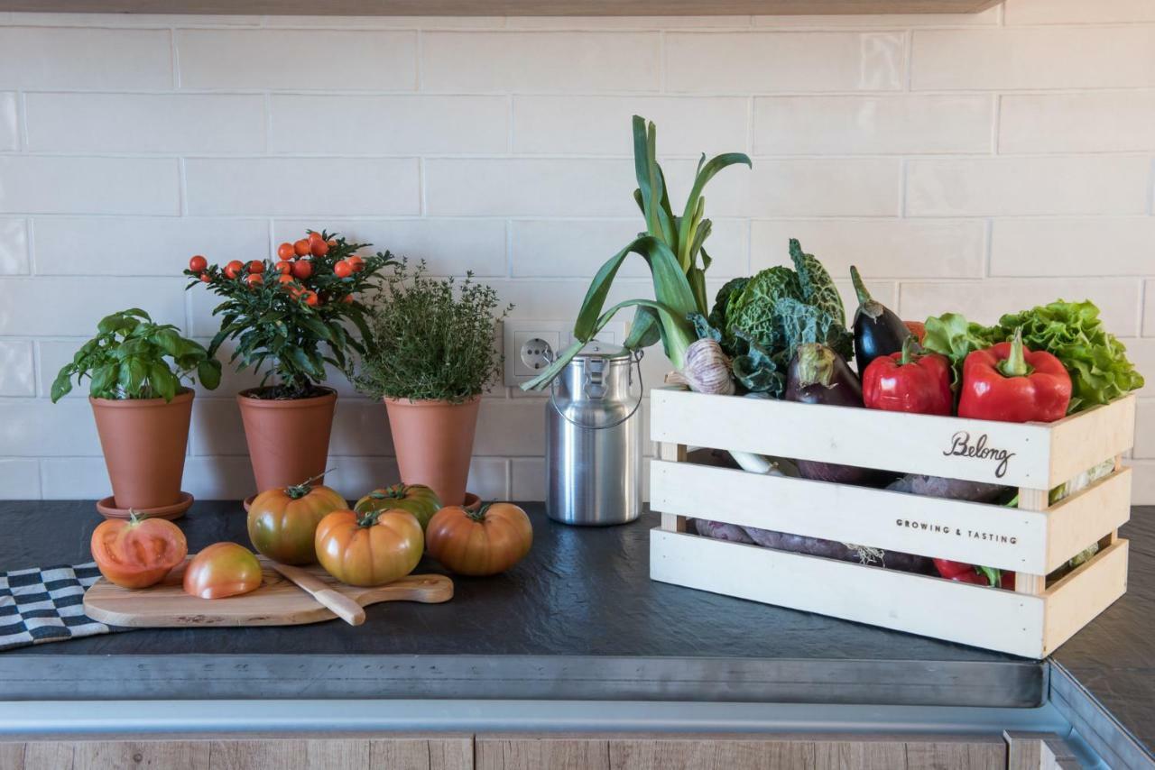 São Teotónio Craveiral Farmhouse By Belong Staying & Feeling מראה חיצוני תמונה